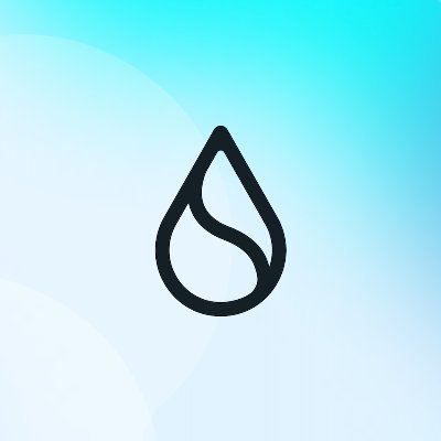 Sui logo
