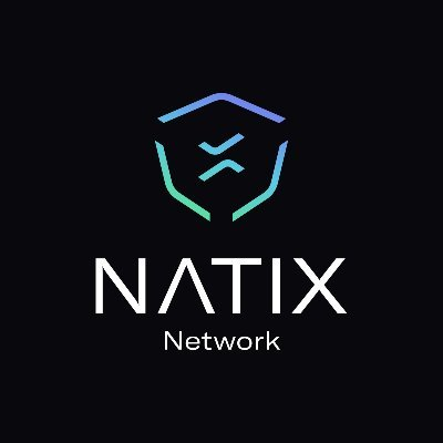 Join our CEO and CPO for a NATIX update on the future of Drive&!