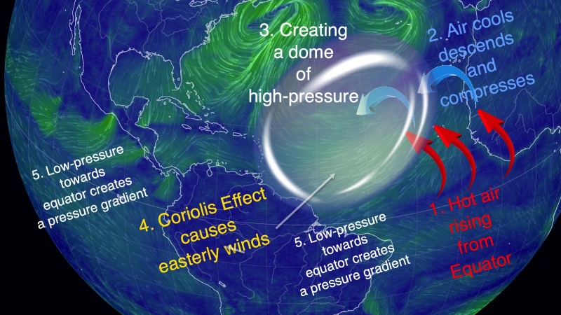 WeatherFlow: Understanding the Trade Winds in the Caribbean
