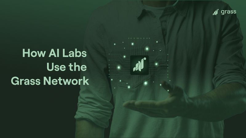 Exploring Language Models and the Use of Grass Network Bandwidth