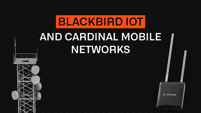 Chirp: Revolutionizing Wireless Connectivity with a Unified Network