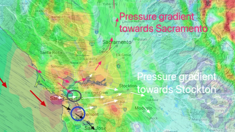 Weatherflow Unveils Enhanced Wind Forecasting Feature