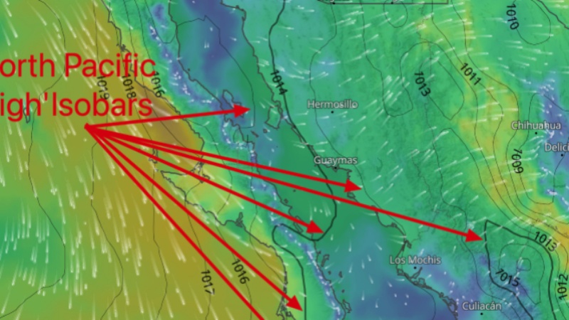 WeatherFlow Forecast: North Pacific High Impact