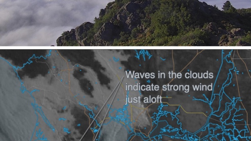 WeatherFlow Revolutionizes Wind Forecasting in San Francisco Bay Area