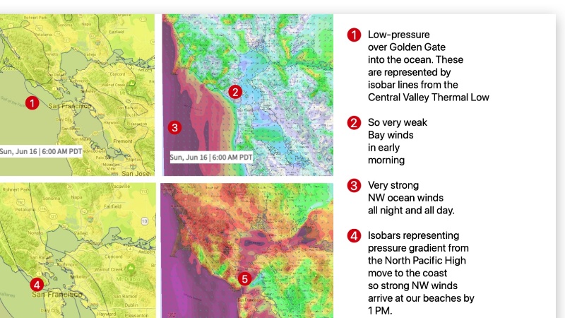 Weatherflow Keeps Bay Area Wind Enthusiasts Informed