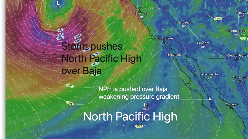 WeatherFlow Project Unveils Insights from Top Meteorologists