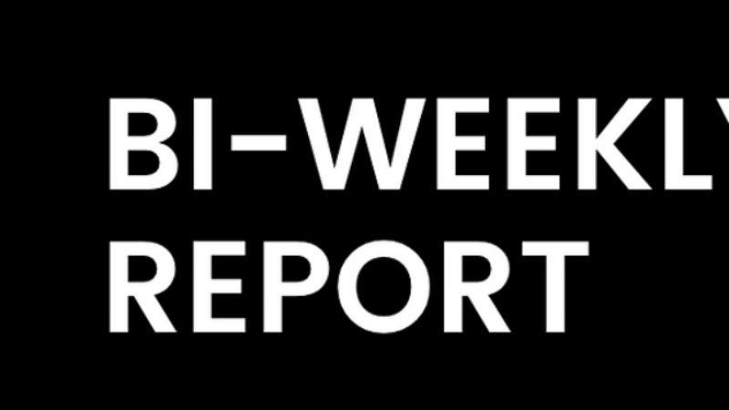 4EVERLAND Bi-Weekly Report - Recent Progress and Aspirations