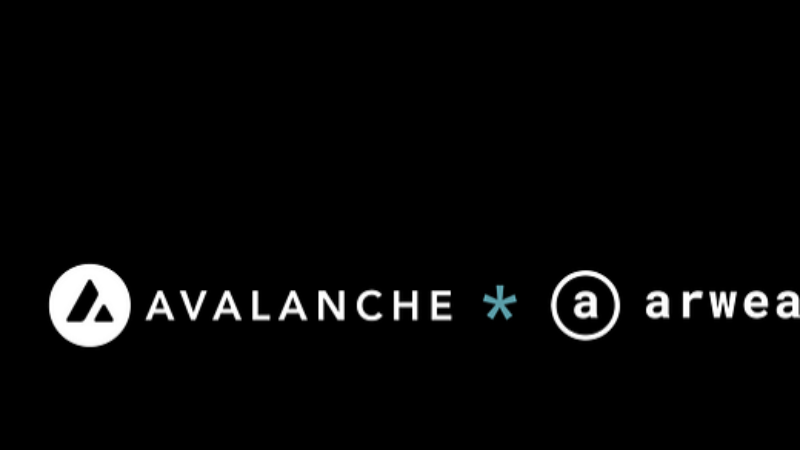 Arweave Enables Interoperability with Avalanche for Permanent Storage
