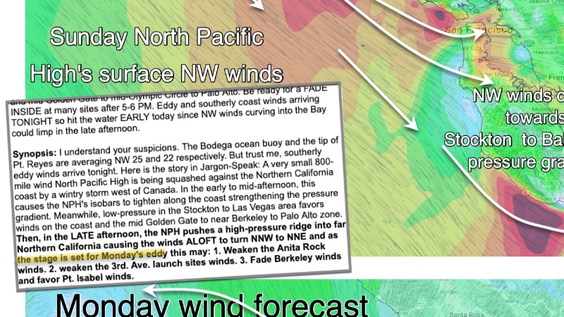 WeatherFlow Unveils Innovative Forecasting Model