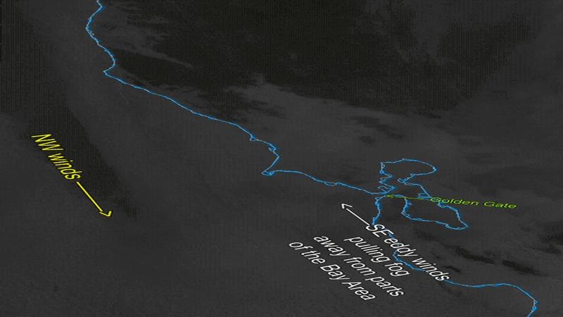 Revolutionary WeatherFlow Project Enhances Meteorological Predictions