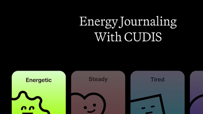 Introducing CUDIS: Logging Daily Energy and Mood on the Blockchain