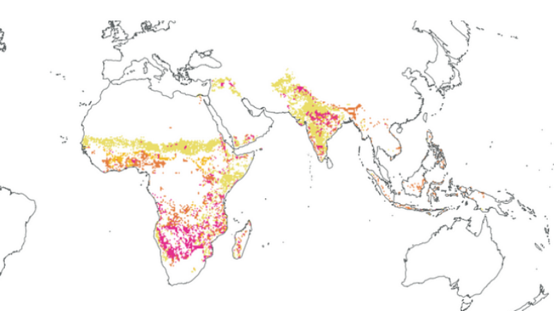 WeatherXM: Revolutionizing Weather Monitoring in Agriculture