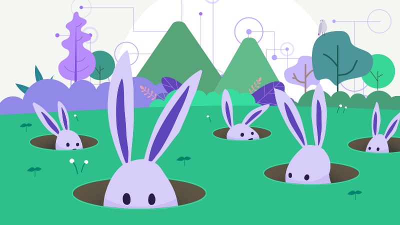 Orchid App Offers Enhanced Privacy Features for VPN Users