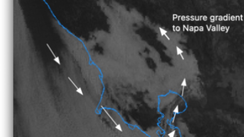 WeatherFlow Empowers Meteorologists in San Francisco Bay Area Forecasts