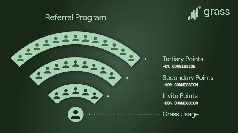 Grass Points: The Key to Network Ownership on Grass Beta