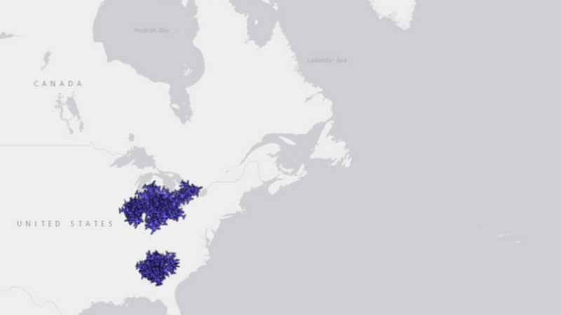 Wingbits Introduces SkyHex System for Global Flight Tracking Coverage
