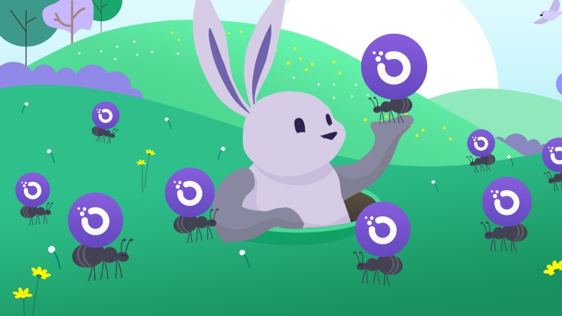 Orchid: A Privacy Network for Secure Internet Browsing