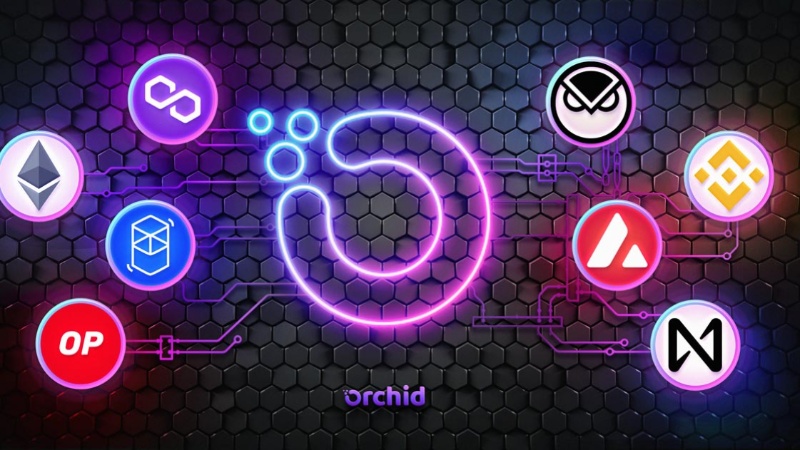 Orchid Network and VPN Service Now Supports Payments on Eight Blockchains