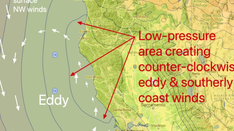 WeatherFlow: Revolutionizing Weather Forecasting
