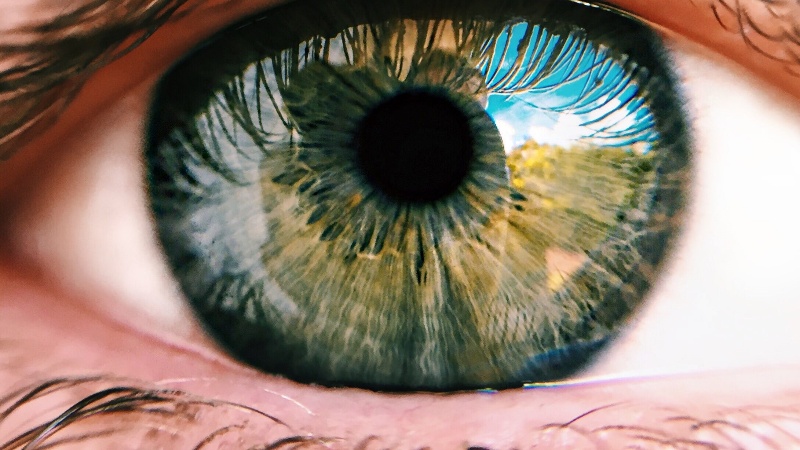 Elumicate: Unleashing the Potential of a Global Smart Vision Network