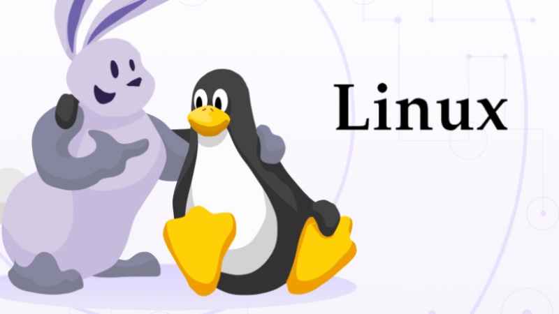 Orchid Releases Linux Client for Enhanced Internet Privacy Tools