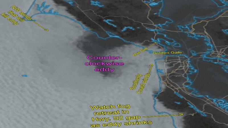 WeatherFlow: Innovating Meteorology