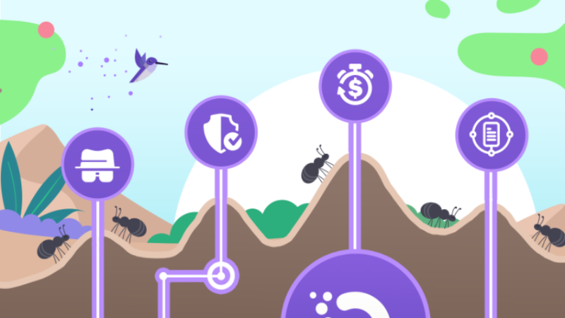 Exploring the Utility of OXT in Orchid: Enhancing User Experience and Security