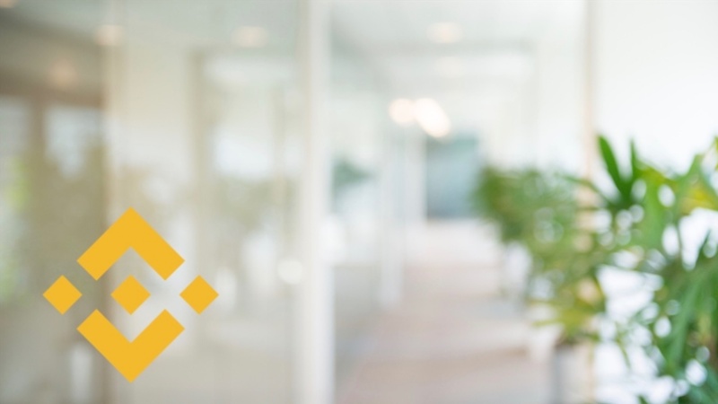 IoTeX, Cosmos, and Enjin Hit $0 on Binance: Crypto Exchange Blames "Display Issue"