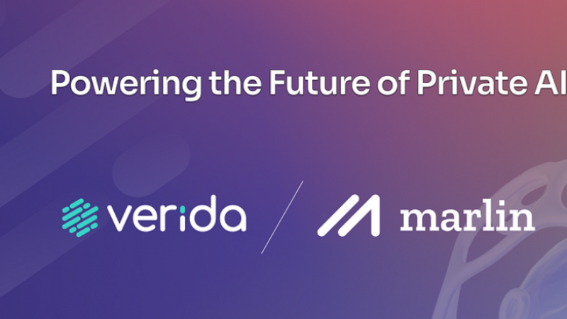 Verida-Network: Empowering Users with Private AI Assistants