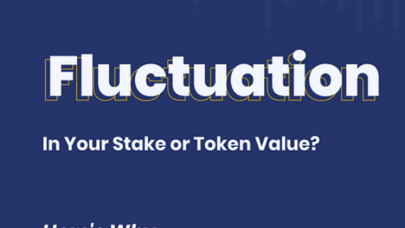 Understanding the Fluctuating Value of Wicrypt Network Token ($WNT)