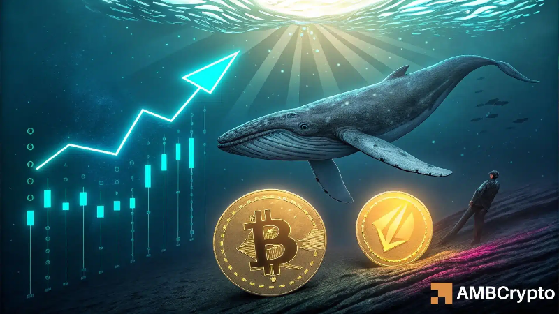 Ethereum Shines Bright as Bitcoin Fades: Billion-Dollar Whale Shifts Market Focus