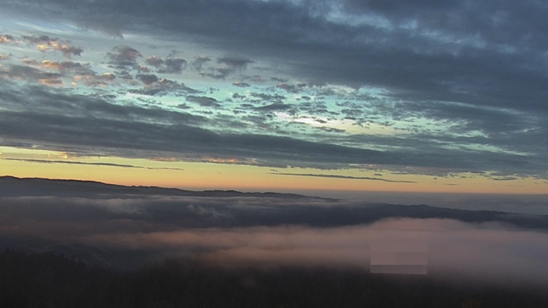 WeatherFlow: Forecasting Rain and Wind Patterns in the Bay Area