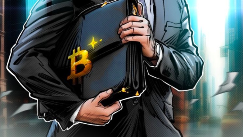 Bitcoin's Institutional Adoption and the Future of Development