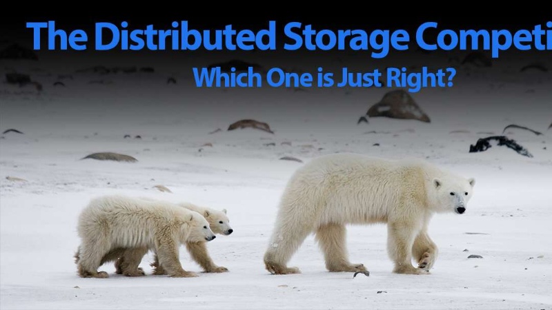 A Comparison of Distributed Storage Networks: ScPrime, Sia, Filecoin, Arweave, and Storj