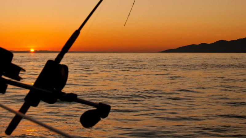 Cats Fishing: Status Network's Revolutionary Mobile Game
