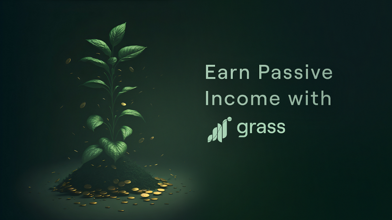 Grass: Maximizing Compensation and Passive Income through Unused Internet Bandwidth