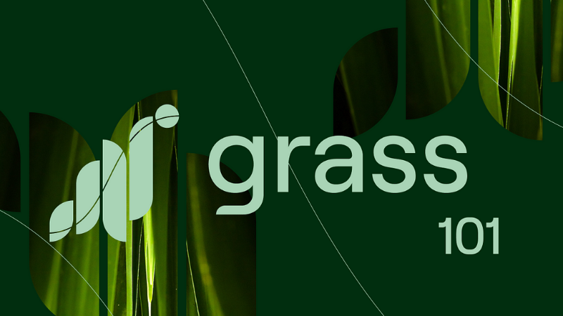 Grass: Monetize Your Internet Connection and Take Back Control