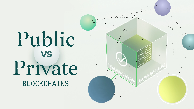 Public vs Private Blockchains: Understanding the Differences and Use Cases