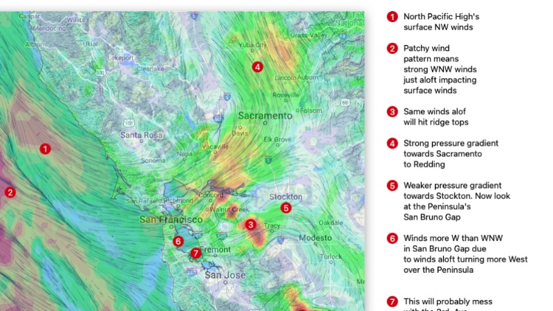 WeatherFlow Unveils Groundbreaking Technology for Meteorologists