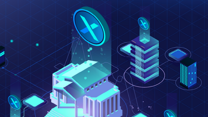 XNET Charter: Fostering Transparency and Decentralization