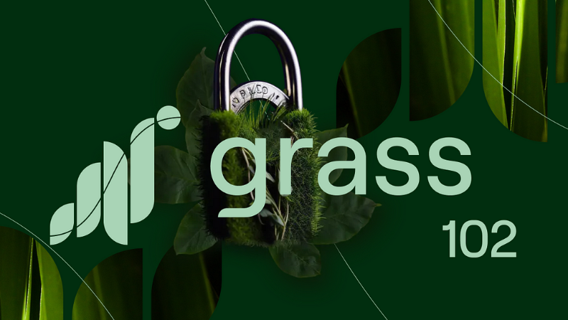 Grass: Selling Unused Network Resources Safely and Privately