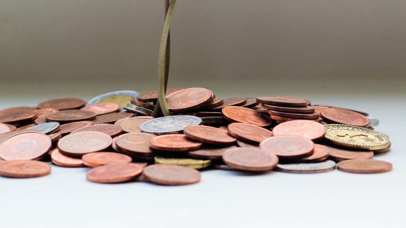 12 Independent Retailers Defying the Odds with Innovative Products and Services